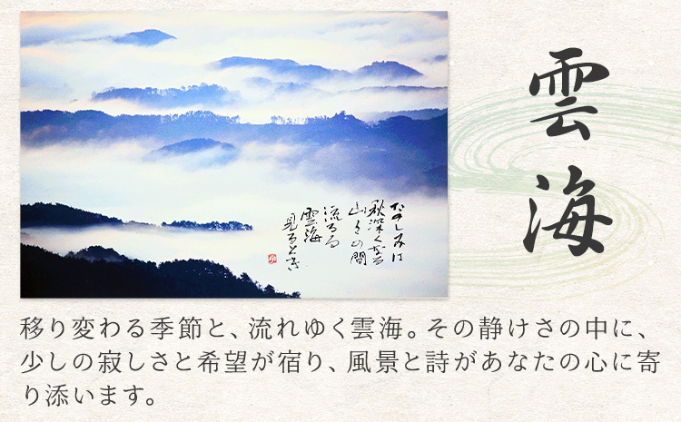 絵 書 書道 アート 季節の絵と書 雲海 楠戸宇亭《90日以内に出荷予定(土日祝除く)》岡山県 笠岡市 送料無料 美術 作品 日本画 絵 インテリア