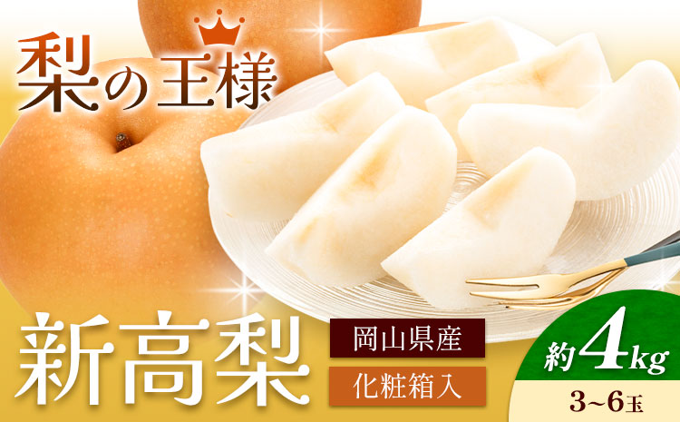 梨 岡山県産 新高梨 約4kg 3~6玉 株式会社山博《2026年9月下旬-11月上旬頃出荷》新高 フルーツ 化粧箱入り 岡山県 笠岡市 送料無料