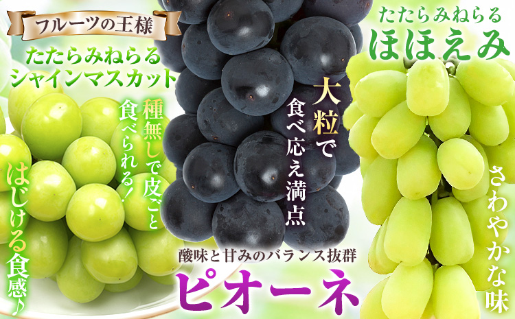 ãå
è¡äºçŽãã¶ã©ã é£ã¹æ¯ã¹ ãããã¿ããã ã·ã£ã€ã³ãã¹ã«ãã ã»ã»ãã¿ ããªãŒã ã¶ã©ãã¢ã³ãµã³ãã«ã»ãã 3ã«ãã å300g ïŒïŒ§ïŒãã£ã¹ããªãã¥ãŒã¿ãŒæ ªåŒäŒç€Ÿã2026幎8æäžæ¬-10æäžæ¬é åºè·ã岡山ç ç¬ å²¡åž æç© ãã«ãŒã ãã㊠ãåãå¯ã