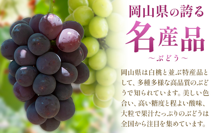 ã2026幎çºéå
è¡äºçŽãã¶ã©ã 4ã¶æ èš10å å®æäŸ¿ 岡山 ã® ã¶ã©ã åæ° 10çš® å700g èš7kg æŽãã®åœããããŸé€š(æŒæµå²¡å±±)ã2026幎8æäžæ¬-11æäžæ¬é åºè·ã岡山ç ç¬ å²¡åž ã¶ã©ã ãã¹ã«ãã æç© ãã«ãŒã ãã¶ãŒã éæç¡æ ãé
éäžå¯å°åãããïŒé¢å³¶ïŒ