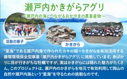 【瀬戸内海保護】A-154e　里海米3パック（計6kg）無洗米　長期保存可《45日以内に出荷予定(土日祝除く)》