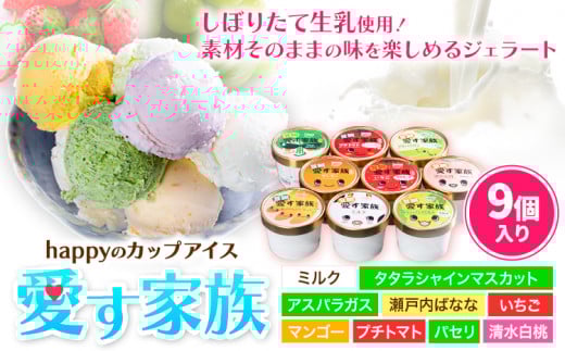 愛す家族 カップアイス 9個入り 笠岡ジェラート 工房ハッピーのカップアイス ハッピー＆甲和株式会社 ジェラート アイス ミルク たたらシャインマスカット 清水白桃 いちご アスパラガス プチトマト 瀬戸内バナナ マンゴー パセリ 岡山県 笠岡市