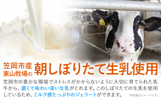 ひまわりの種ジェラート 30個セット 笠岡ジェラート工房ハッピーのカップアイス 《45日以内に出荷予定(土日祝除く)》ジェラート アイス アイスクリーム ミルク ヒマワリの種 デザート