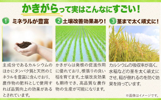 【瀬戸内海保護】A-154e　里海米3パック（計6kg）無洗米　長期保存可《45日以内に出荷予定(土日祝除く)》