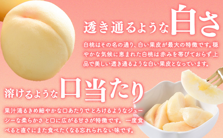 æ¡ ã¶ã©ã è©°å å²¡å±±çœæ¡ 2ç(1ç220g以äž) ãã¥ãŒããªãŒã1æ¿(1æ¿480g以äž) ã·ã£ã€ã³ãã¹ã«ãã æŽç 1æ¿(1æ¿480g以äž) åç²§ç®±å
¥ æ ªåŒäŒç€Ÿå±±åã2026幎7æäžæ¬-8æäžæ¬é åºè·ã岡山ç ç¬ å²¡åž ãã«ãŒã æç© è¡è ãã¹ã«ãã ãã ãåãå¯ããé
éäžå¯å°åããã