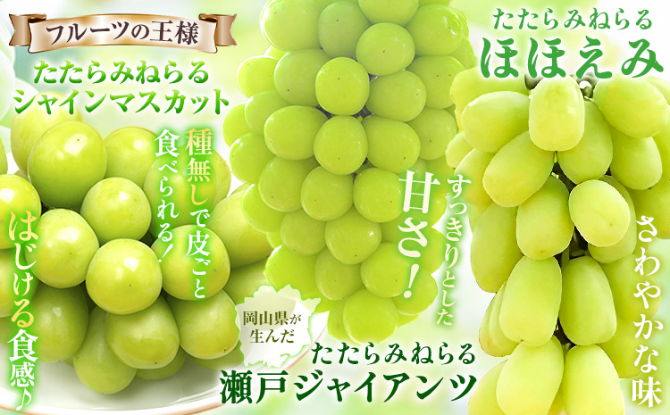 ã¶ã©ã3çš®é¡ããŸããã»ãã ãããã¿ãããã·ã£ã€ã³ãã¹ã«ãã ãããã¿ãããç¬æžãžã£ã€ã¢ã³ã ãããã¿ãããã»ã»ãã¿ ããªãŒã ã¯ã€ãŒã³ããŒã Y&Gãã£ã¹ããªãã¥ãŒã¿ãŒæ ªåŒäŒç€Ÿã9æäžæ¬-10æäžæ¬é åºè·ã 岡山ç ç¬ å²¡åž