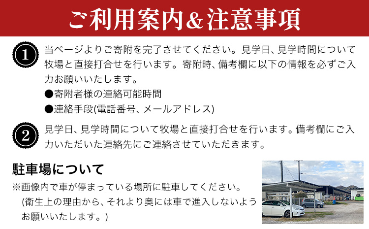 体験 牧場 食と命のつながりを感じるリアル牧場体験 ～ こはら牧場 in 笠岡湾干拓地 ～ 《30日以内に出荷予定(土日祝を除く)》株式会社こはら 岡山県 笠岡市 牛 乳牛 酪農 学習