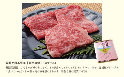牛肉　A-10 瀬戸の姫（スライス）《45日以内に出荷予定(土日祝除く)》