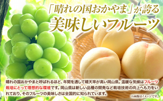 家庭用つる付きシャインマスカット 2房(1房530g以上)【配送不可地域あり】有限会社ホーティカルチャー神島 令和8年産先行受付《2026年9月上旬-10月下旬頃出荷》岡山県 笠岡市 送料無料 葡萄 フルーツ 果物 シャインマスカット つる付き お取り寄せフルーツ 