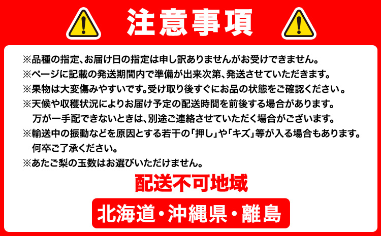 【4回定期便】ぶどう 梨 岡山のフルーツ定期便 4回コース 岡山県産 シャインマスカット 晴王 ニューピオーネ 紫苑 あたご 株式会社山博《2026年9月上旬-12月末頃出荷》岡山県 笠岡市 フルーツ 果物 ぶどう あたご梨 マスカット お取り寄せ【配送不可地域あり】