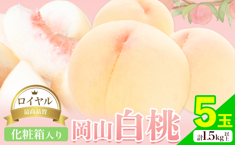 岡山白桃 5玉 (1.5kg以上) 等級ロイヤル 化粧箱入り 株式会社山博 (中本青果)《2026年7月上旬‐8月中旬頃出荷》岡山県 笠岡市 桃 もも フルーツ 旬 果物 国産 岡山県産 送料無料 冷蔵 化粧箱【配送不可地域あり】