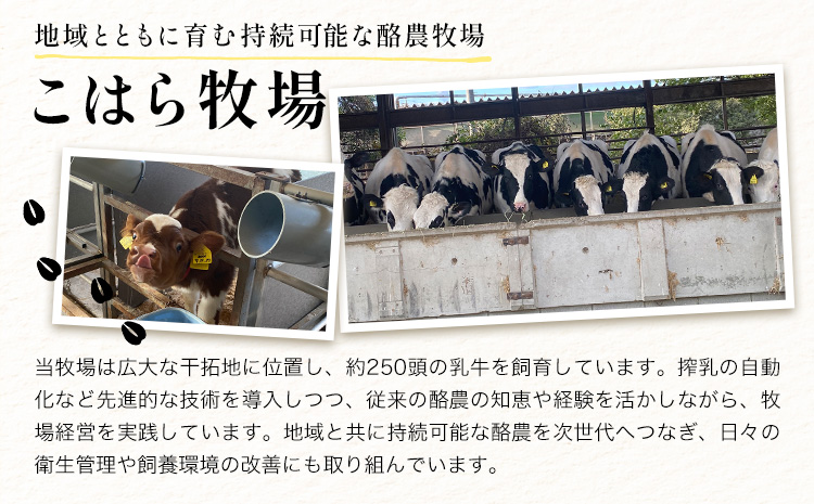 体験 牧場 食と命のつながりを感じるリアル牧場体験 ～ こはら牧場 in 笠岡湾干拓地 ～ 《30日以内に出荷予定(土日祝を除く)》株式会社こはら 岡山県 笠岡市 牛 乳牛 酪農 学習