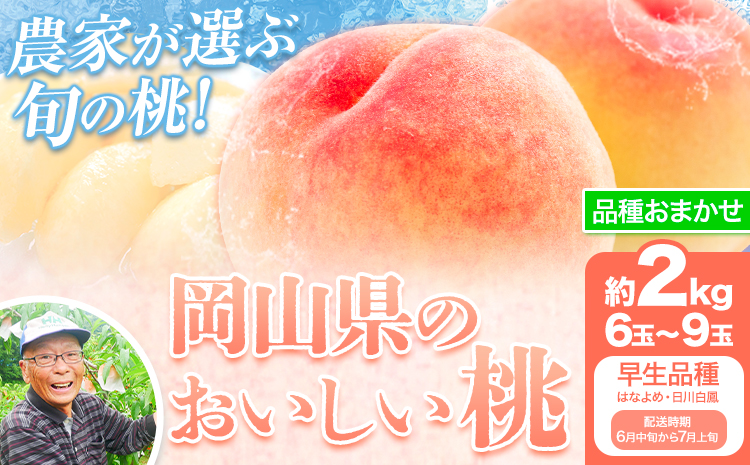 【先行予約】【6月中旬-7月上旬頃出荷】桃 早生品種 2kg もも 岡山 はなよめ 白川白鳳 岡山県 笠岡市 送料無料 果物 フルーツ お取り寄せ