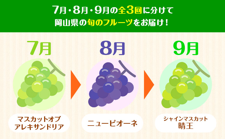 【3回定期便】ぶどう 定期便 計3回コース 岡山県産 シャインマスカット 晴王 ニューピオーネ マスカットオブアレキサンドリア 化粧箱入り 株式会社山博《2026年7月上旬-9月末頃出荷》岡山県 笠岡市 フルーツ 果物 定期 ぶどう マスカット【配送不可地域あり】