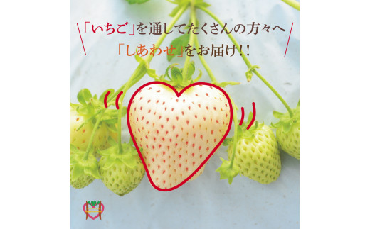 ããããå±ãããã¡ã蟲åHappyComeComeã®æŽèº(ã¯ããã¡ã)450ïœãã¬ã®æ¥ã«æŽèº(ã¯ããã¡ã)ã12æäžæ¬-3æäžæ¬é åºè·ã