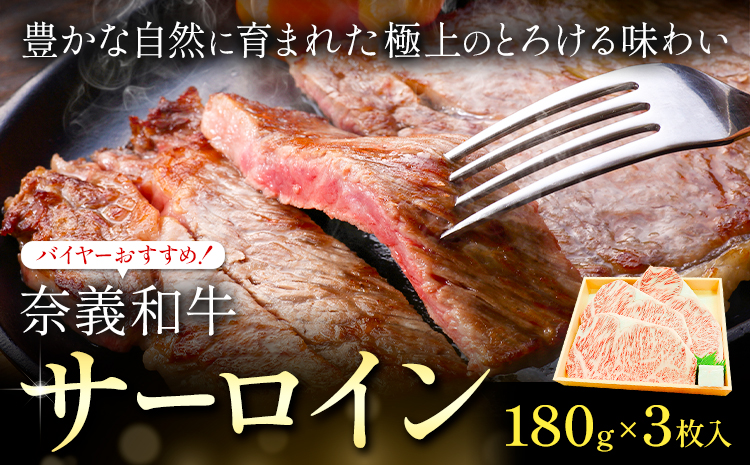 奈義和牛 サーロイン バイヤーおすすめ！ 180g × 3枚 株式会社 天満屋《30日以内に出荷予定(土日祝除く》岡山県 笠岡市 和牛 牛肉 肉 ステーキ 自宅用 贈答用 送料無料