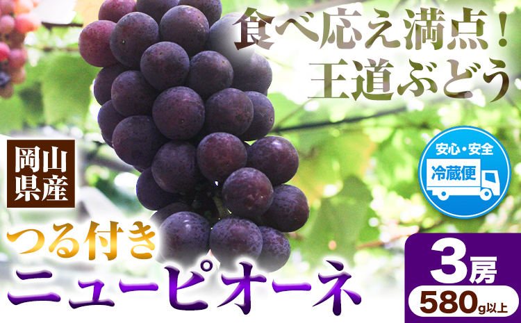 岡山県産ニューピオーネ 3房（580g以上） 先行受付 《9月中旬-10月下旬頃出荷》 【配送不可地域あり】