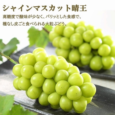 岡山çç£ å²¡å±±çœæ¡ãã€ã€ã«Lãµã€ãº200gÃ2çã»ã·ã£ã€ã³ãã¹ã«ããæŽç400gÃ1æ¿ è©°åããé
éäžå¯å°åïŒé¢å³¶ã»åæµ·éã»æ²çžçãã1472019ã