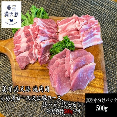 美星満天豚 焼肉 500g(小分け真空パック) ≪豚肩ロース又は豚ロース、豚バラ、豚モモ≫【配送不可地域：離島】【1584142】