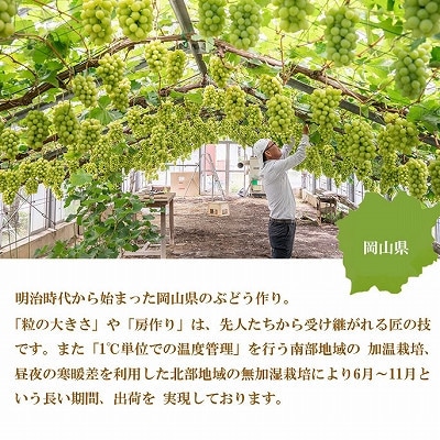 【2025年7月発送】岡山県産　シャインマスカット　晴王　4kg(5房〜10房)【配送不可地域：離島・北海道・沖縄県】【1366010】