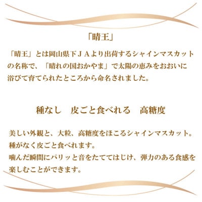 【2024年8月下旬より発送】ご家庭用　岡山県産　シャインマスカット　晴王　600g×1房【配送不可地域：離島】【1407824】