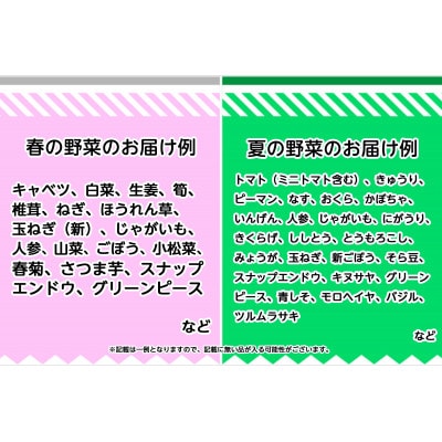 旬の農産物(野菜・果物など)詰合せ【7品以上】【配送不可地域：離島】【1419890】