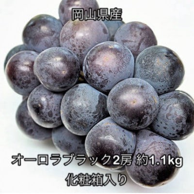 【2026年発送】岡山県産 オーロラブラック 2房 (約1.1kg) 化粧箱入り【配送不可地域：離島】【1710830】