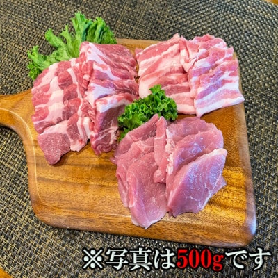 美星満天豚 焼肉 1.0kgセット(小分け真空パック) ≪豚肩ロース又は豚ロース、豚バラ、豚モモ≫【配送不可地域：離島】【1584144】