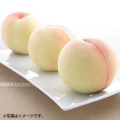 ã2026幎çºéã岡山çç£ãæž
æ°Žçœæ¡ã8çãçŽ2.0kgãé
éäžå¯å°åïŒé¢å³¶ãã1493875ã