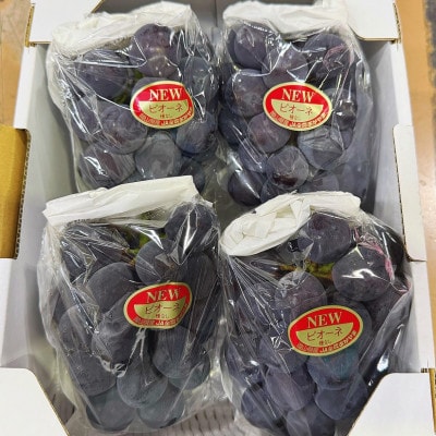 縲2026蟷エ逋コ騾√大イ。螻ア逵檎肇 繝九Η繝シ 繝斐が繝シ繝 4謌ソ(邏2kg)縲宣埼∽ク榊庄蝨ー蝓滂シ夐屬蟲カ縲代1710838縲