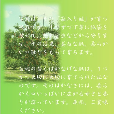 2026幎äºçŽåä»ã岡山çç£ãå€¢çœæ¡ã5ç(ãšãŒã¹)ãé
éäžå¯å°åïŒé¢å³¶ãã1672005ã