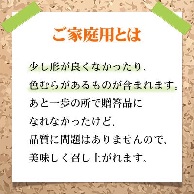 【2024年8月下旬より発送】ご家庭用　岡山県産　ピオーネ　600g×1房【配送不可地域：離島】【1407904】