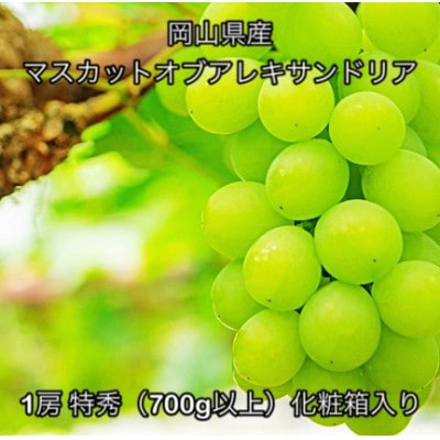 縲2026蟷エ逋コ騾√大イ。螻ア逵檎肇 繝槭せ繧ォ繝繝医が繝悶い繝ャ繧ュ繧オ繝ウ繝峨Μ繧「 1謌ソ 迚ケ遘(700g莉・荳)蛹也イァ邂ア蜈・繧翫宣埼∽ク榊庄蝨ー蝓滂シ夐屬蟲カ縲代1710827縲