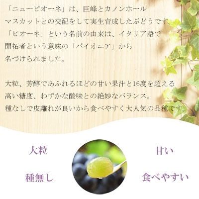 【2025年6月発送】岡山県産　ニューピオーネ　600g×1房【配送不可地域：離島・北海道・沖縄県】【1315154】