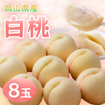 【2026年発送】岡山県産　白桃 8玉　約2.0kg【配送不可地域：離島】【1493869】