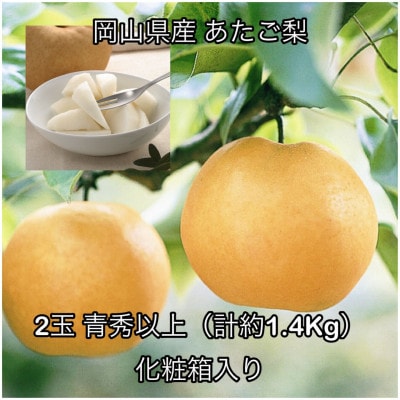 岡山県産 あたご梨 2玉 青秀以上 (約1.4kg )化粧箱入り【配送不可地域：離島】【1710845】