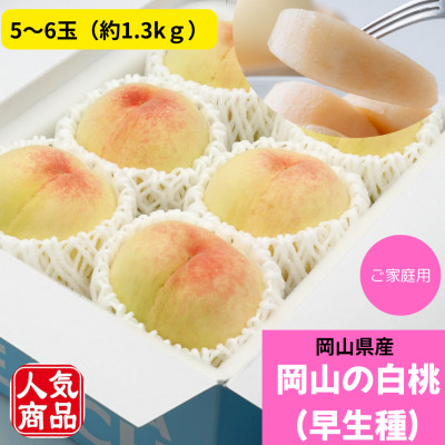 【2026年発送】ご家庭用　岡山の白桃(早生種)　約1.3kg(5〜6玉)【配送不可地域：離島】【1493940】