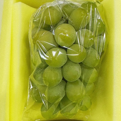 【2026年発送】岡山県産 マスカットオブアレキサンドリア 1房 赤秀 (550g以上)　化粧箱入り【配送不可地域：離島】【1710829】