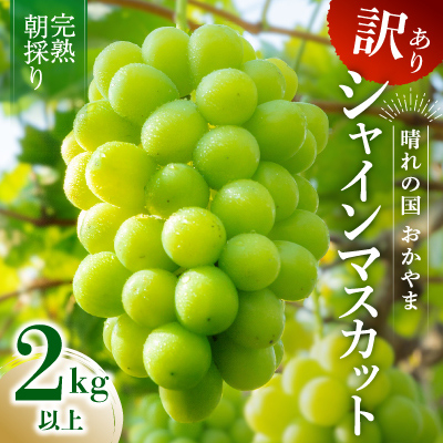 2026年発送[完熟朝採り]訳あり シャインマスカット 2.0kg以上[配送不可地域:離島・北海道・沖縄県・東北]