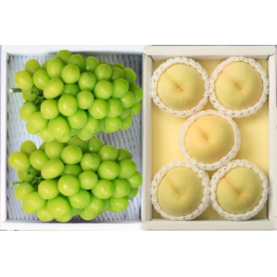 【2026年7月中旬より発送】岡山県産　岡山白桃5玉とシャインマスカット2房　※数量限定・先行受付【配送不可地域：離島・北海道・沖縄県】【1364890】