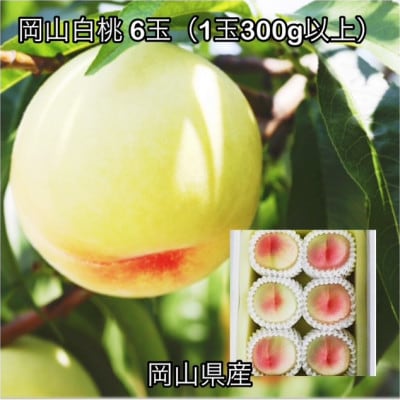 【2026年発送】岡山県産 岡山白桃6玉(1玉300g以上)化粧箱入り【配送不可地域：離島】【1710804】