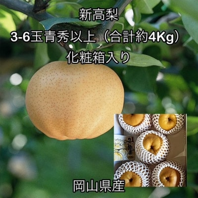 ã2026幎çºéã岡山çç£ æ°é«æ¢š 3ã6ç éç§ä»¥äž(çŽ4kg)åç²§ç®±å
¥ããé
éäžå¯å°åïŒé¢å³¶ãã1710844ã