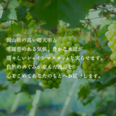2026年発送【完熟朝採り】訳あり シャインマスカット 2.0kg以上【配送不可地域：離島・北海道・沖縄県・東北】【1626587】