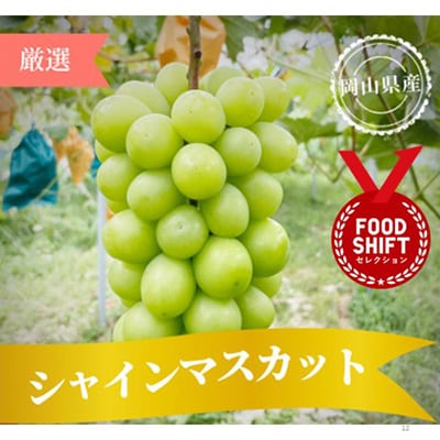 クリスマスにぴったりのシャインマスカット 約1kg(2〜3房 華やかな席を彩る特別な贈り物)【配送不可地域：離島】【1695256】