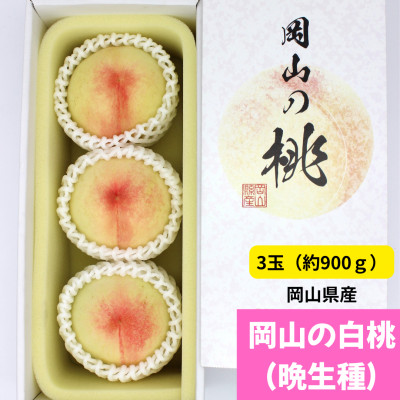【2026年発送】岡山の白桃(晩生種)　大玉3玉(約900g)【配送不可地域：離島】【1493936】