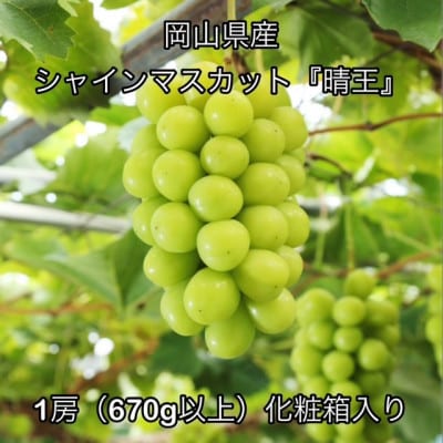 【2026年発送】岡山県産 シャインマスカット『晴王』1房(670g以上)化粧箱入り【配送不可地域：離島】【1710835】