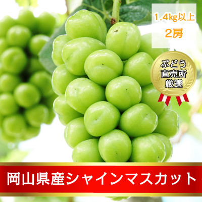 岡山県産シャインマスカット1.4kg以上(2房)【2025年9月上旬以降発送】【配送不可地域：離島】【1239741】