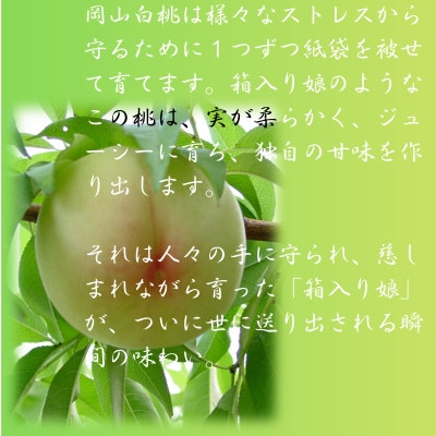 2026蟷エ蜈郁。御コ育エ縲逋ス魑ウ縲5邇(繧ィ繝シ繧ケ)縲宣埼∽ク榊庄蝨ー蝓滂シ夐屬蟲カ縲代1673192縲
