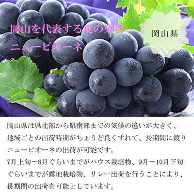 【2025年6月発送】岡山県産　ニューピオーネ　2kg(3房〜6房)【配送不可地域：離島・北海道・沖縄県】【1315170】