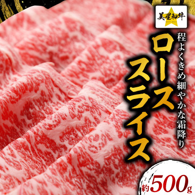 ローススライス約500g【美星和牛】【配送不可地域：離島】【1235466】